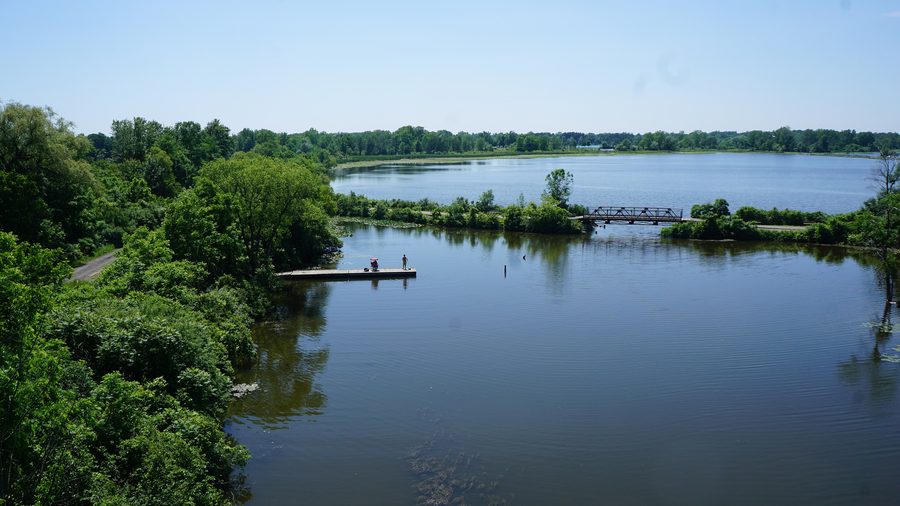 Waterford Ponds in Ontario with water surfaces and shoreline scenery