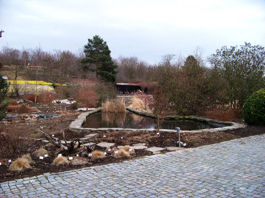 Pond in the botanical garden of Teplice