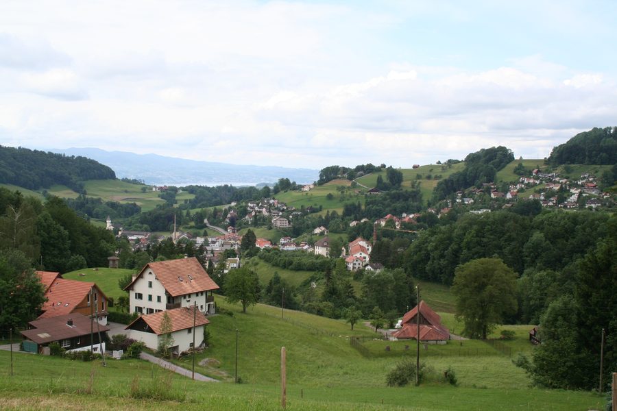 View over Vorderwald to the town center of Wald ZH and Lake Zurich