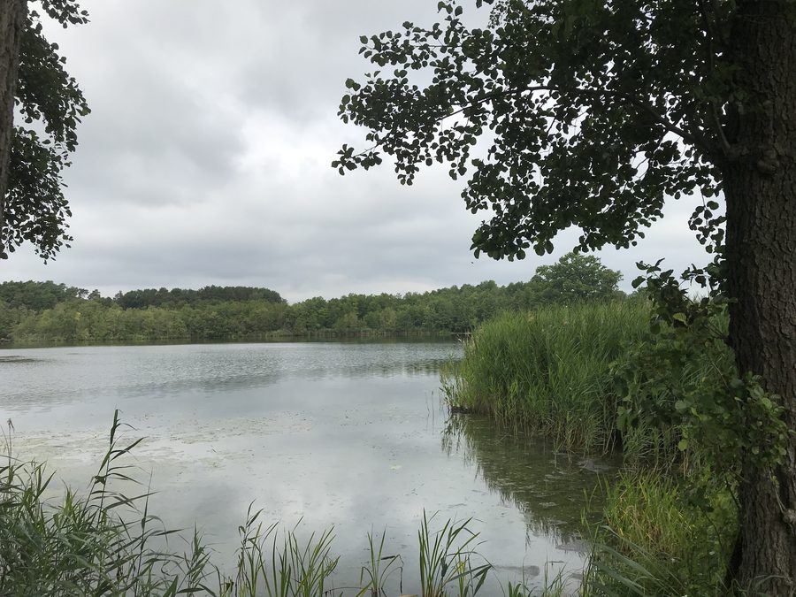 View of Bauernsee in Dobbrikow, Brandenburg