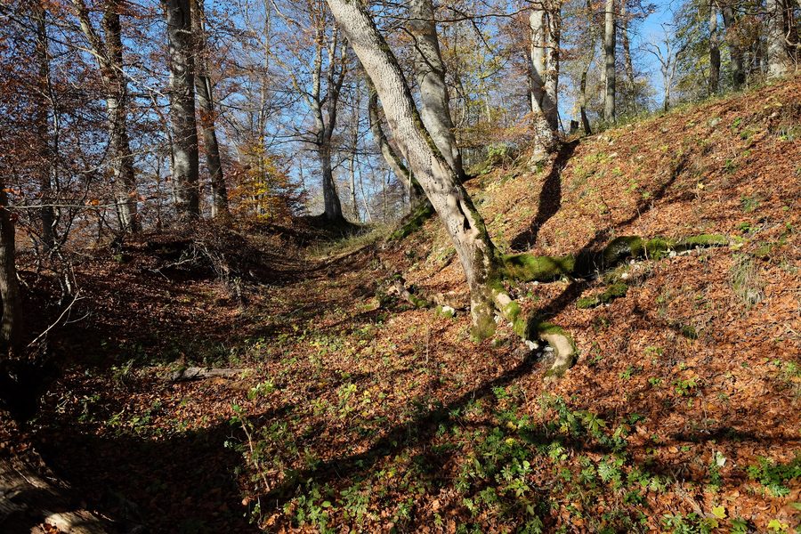 Ruins of Reichenau Castle near Münsingen in the district of Reutlingen