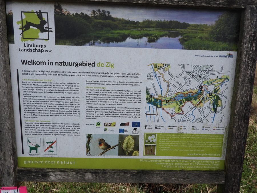 De Zig in Kinrooi, landscape area in Limburg