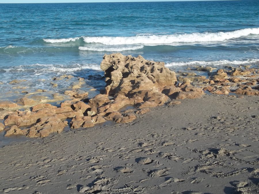 Beach at Coral Cove Park in Jupiter, Florida