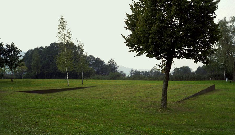 Landscape in the nature reserve at Irrsee near Zell am Moos