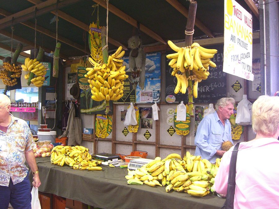 Bananas at a market in Carrara on the Gold Coast
