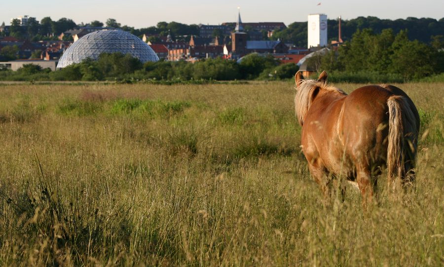 Randers Regnskov with the large domes of the tropical zoo