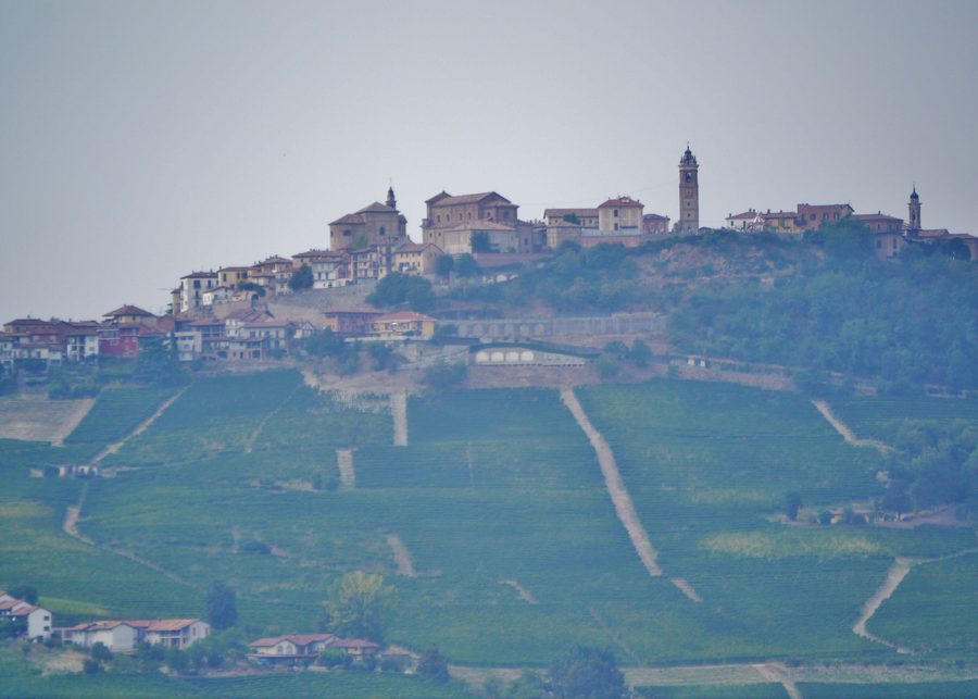 Hilly landscape of the Langhe between Monforte d’Alba and La Morra in the Province of Cuneo