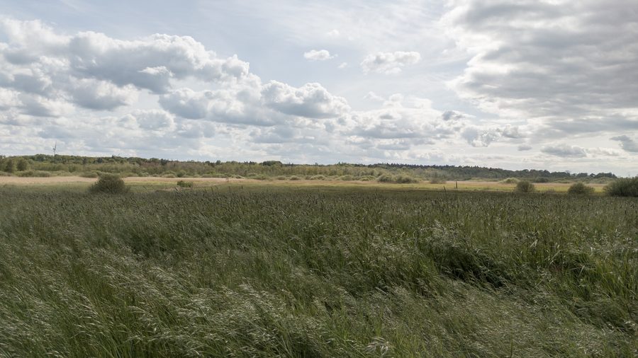 Landscape in the Recknitz and Trebel valleys near Ahrenshagen-Daskow