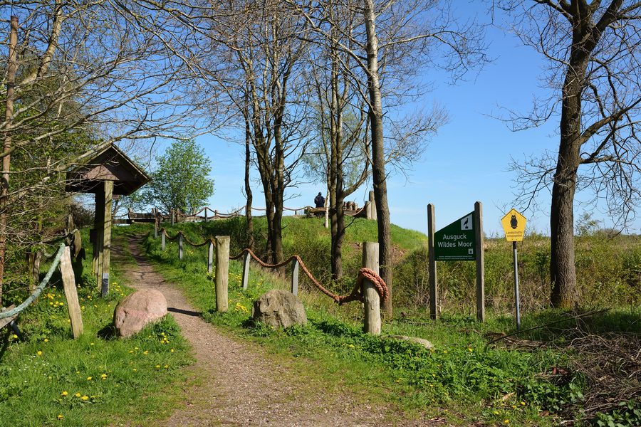 Landscape in the Wildes Moor in Schleswig-Holstein