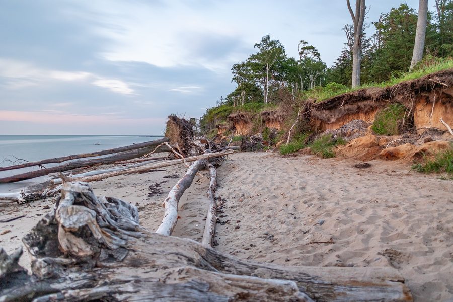 Coast of the Rostock Heath nature reserve near Graal-Müritz