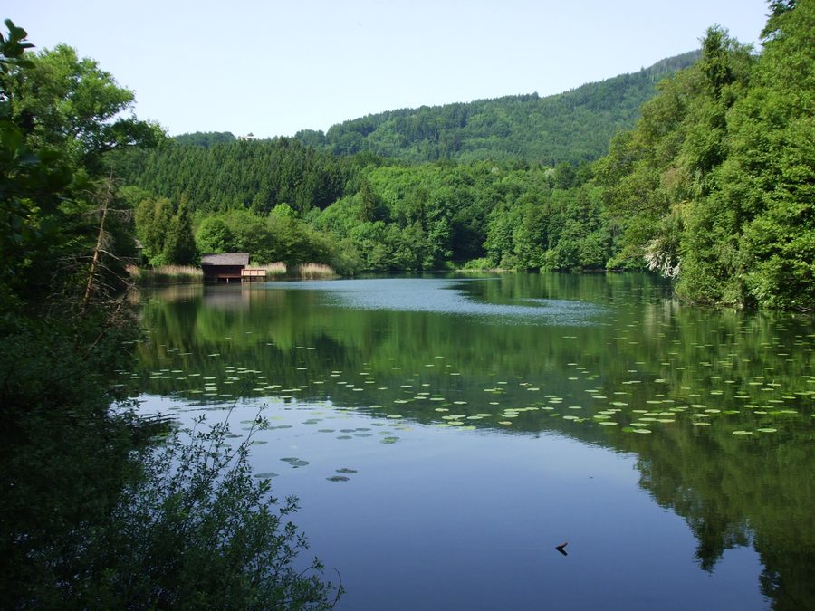 Höglwörth Lake near Anger in Bavaria