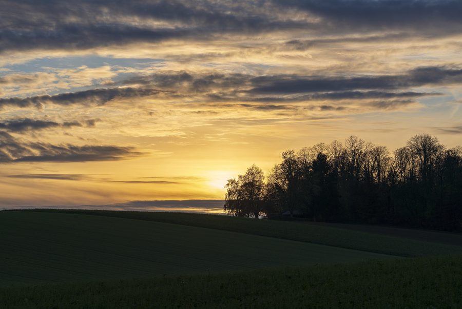 Woodland edge by a shelter in the Dornet in Untereisesheim shortly before sunset
