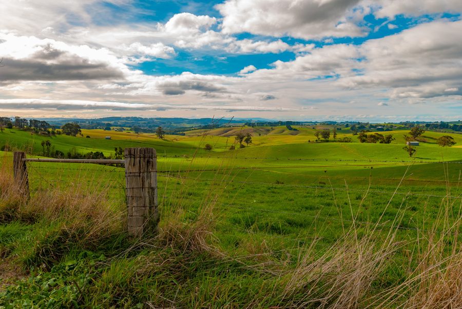 View over rolling farmland toward the Strzelecki Ranges near Mirboo North