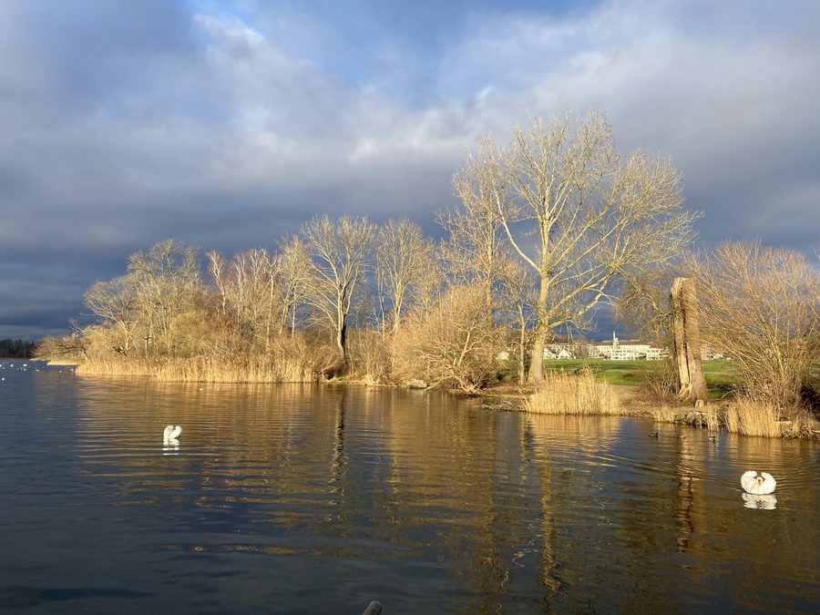 Lake Greifensee in the canton of Zurich