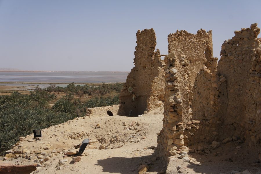 View from Aghurmi Hill over the palm landscape of the Siwa Oasis
