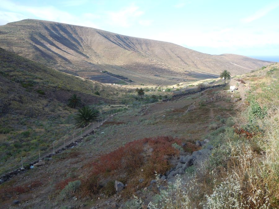 View of the landscape of Valle de Temisa near Haría on Lanzarote