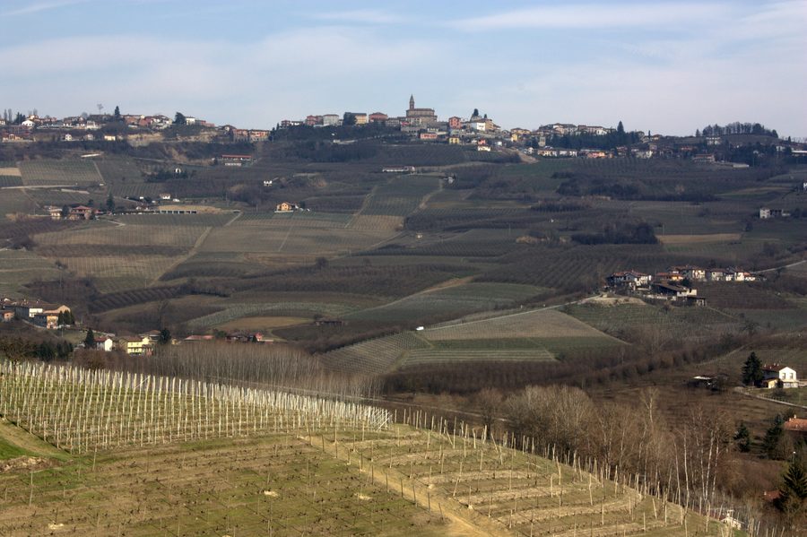 Vineyards and rolling hills in the Langhe, Piedmont