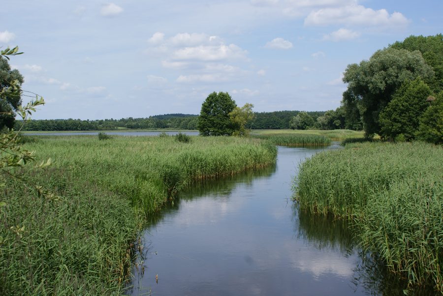 Ełk River near the village of Miluki