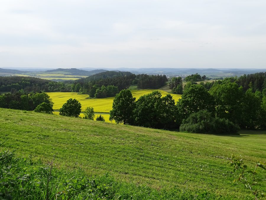 Landscape north of Radeč in the Příbram district.