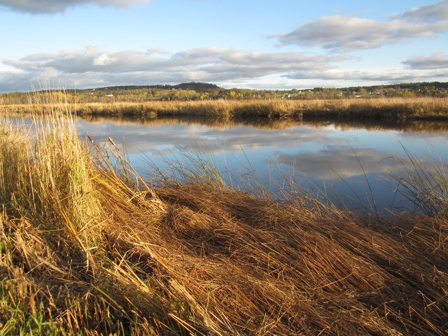 Antigonish Landing in autumn with river landscape and riverside trail