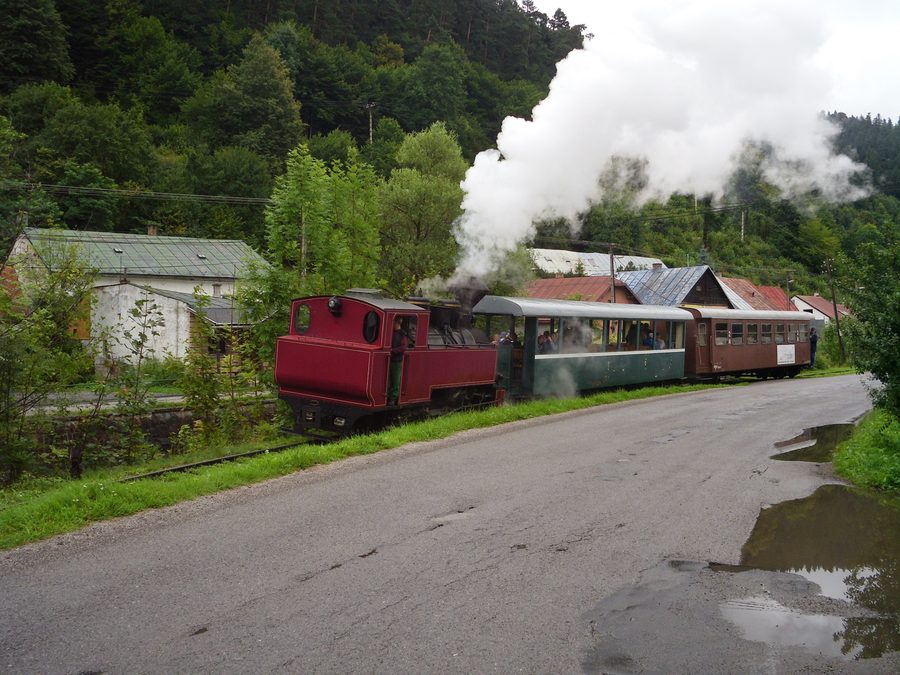 Steam locomotive of the Čierny Hron Forest Railway near Hronec