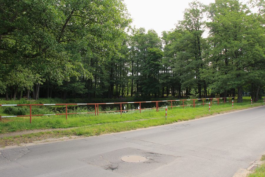 Pond on Olszynowa Street in Przeźmierowo
