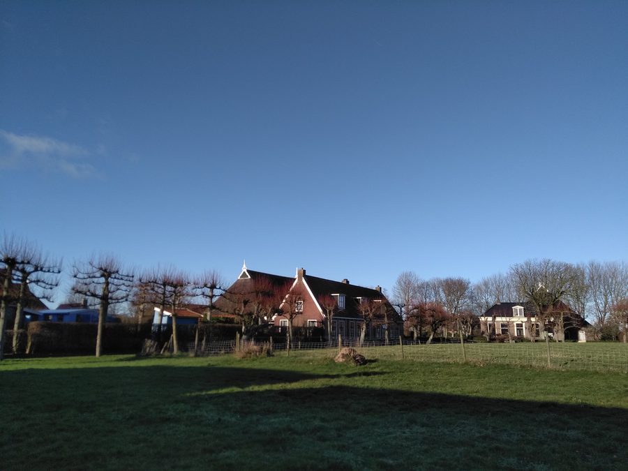 Houses on the terp of Niawier in Noardeast-Fryslân
