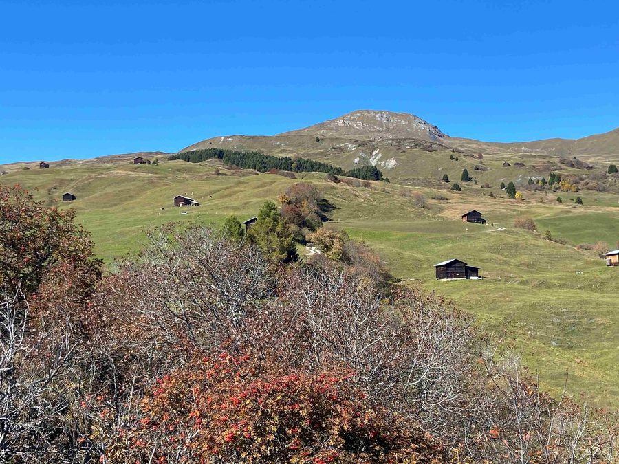 View of Piz Sezner in Val Lumnezia in autumn
