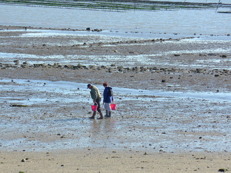 Shellfish gatherer on the beach of Saint-Trojan-les-Bains on Île d’Oléron, with oyster beds in the background