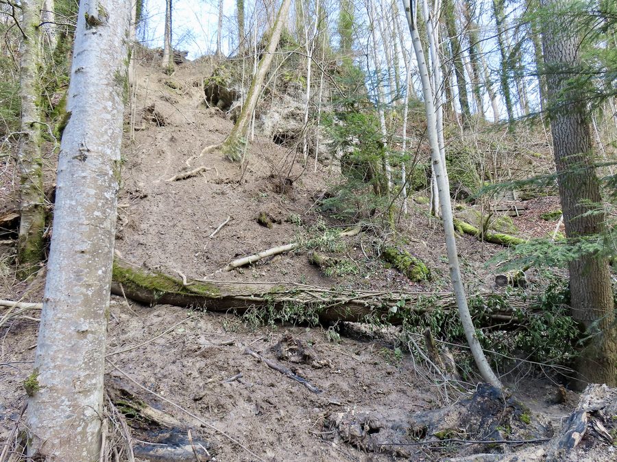 Landslide slope in the Küsnacht ravine below Dragon Cave