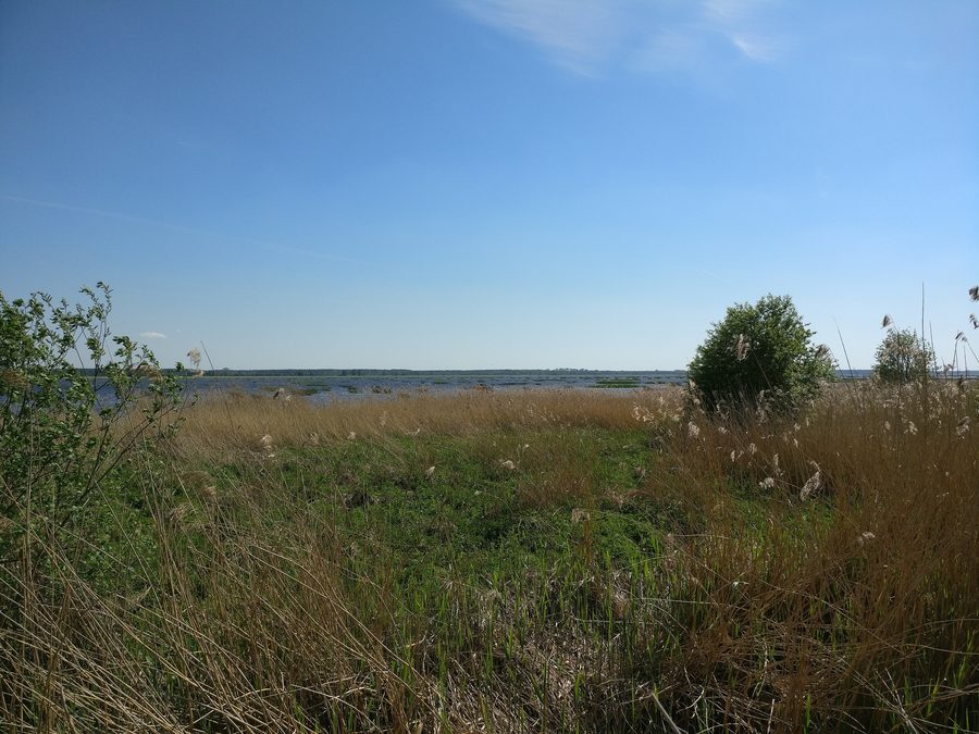 Landscape at Lake Babīte in Latvia