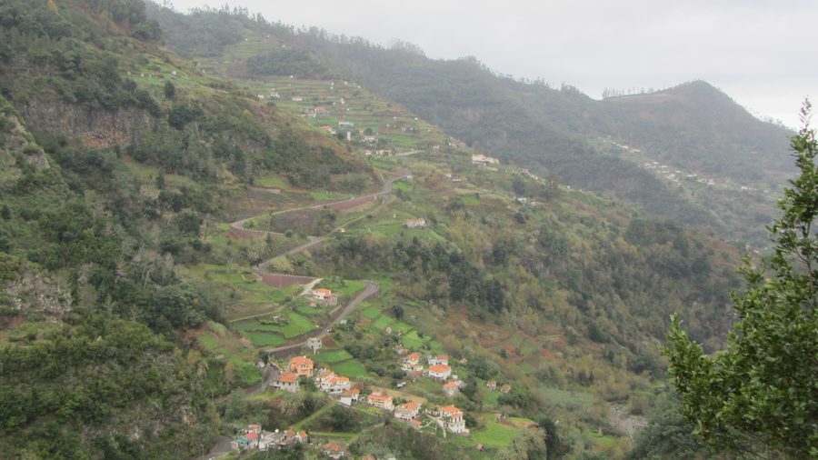 Hillside in São Roque do Faial, Madeira, along the main cross-island road