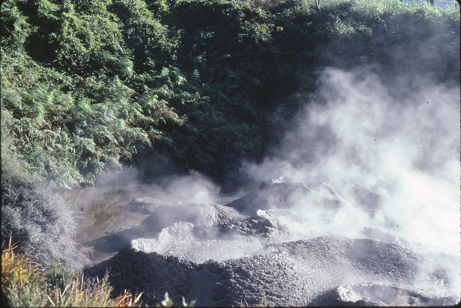 Geothermally shaped landscape in the Rotorua area of New Zealand.