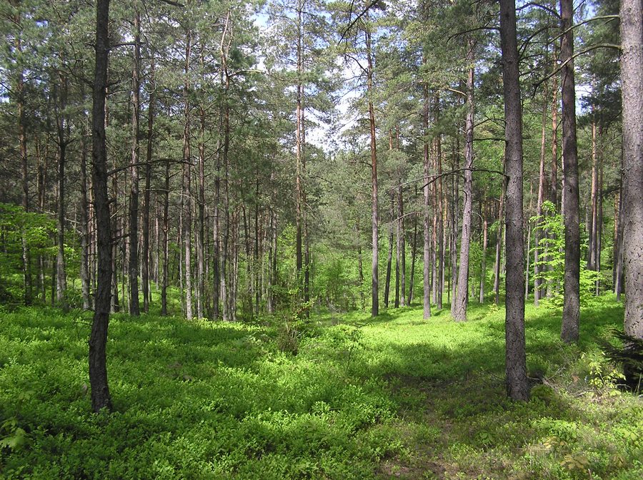 Kashubian Landscape Park in Zgorzałe