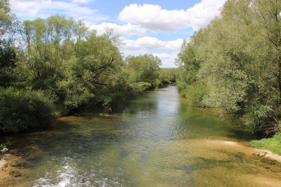 The Meuse at Mécrin
