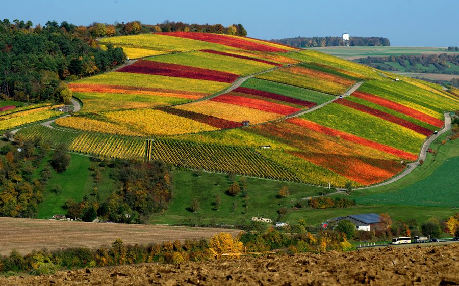 View from Karlsberg of Weikersheim and the vineyards of the Tauber Valley in autumn