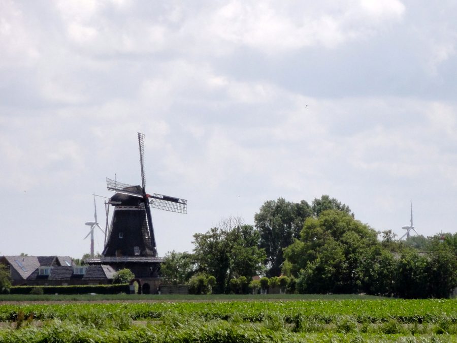 De Korenaar mill in Sexbierum