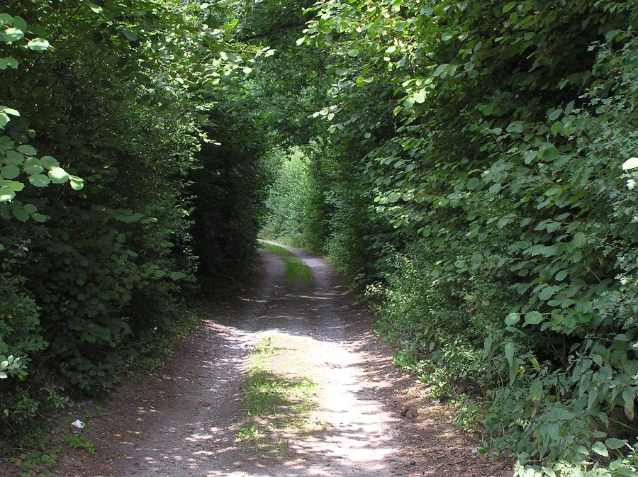 Redder in Siek in the district of Stormarn