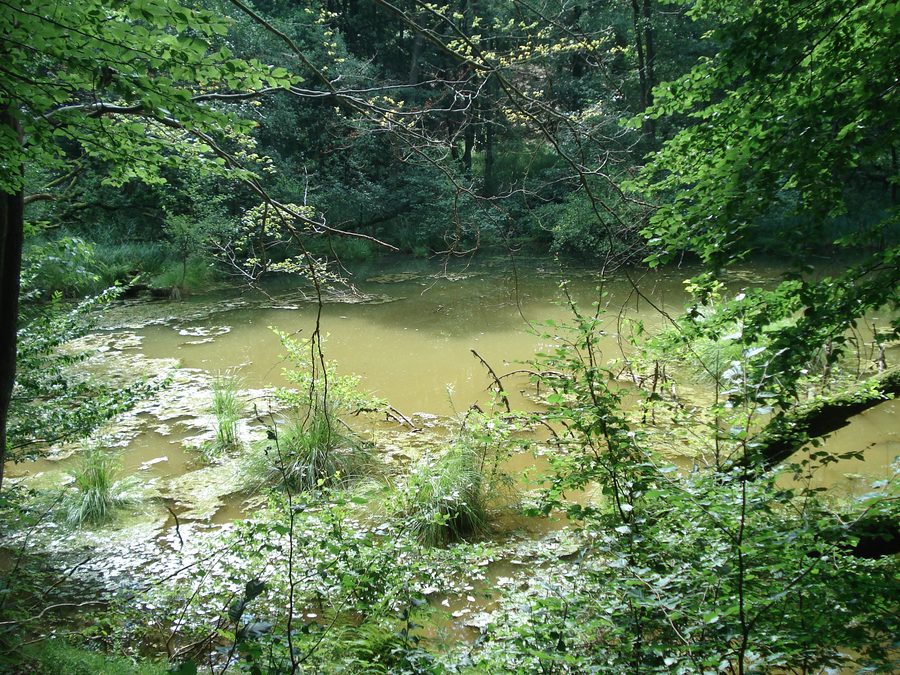 The Devil's Hole near Osterode am Harz
