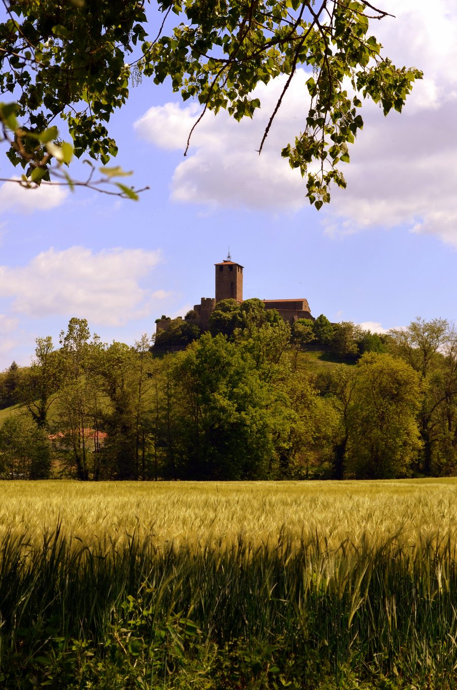 Prieuré de Montverdun viewed from the plain