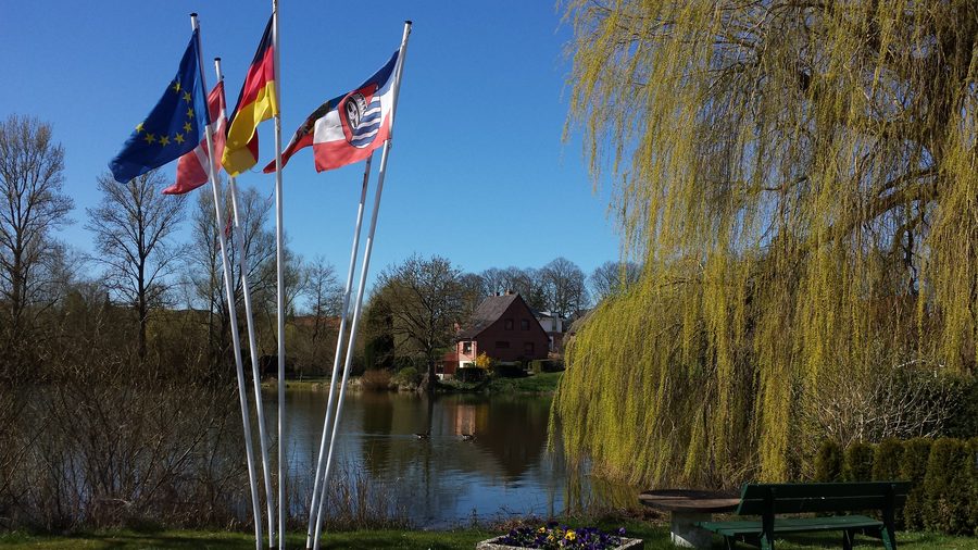 Village pond in Malkwitz near Malente in Schleswig-Holstein