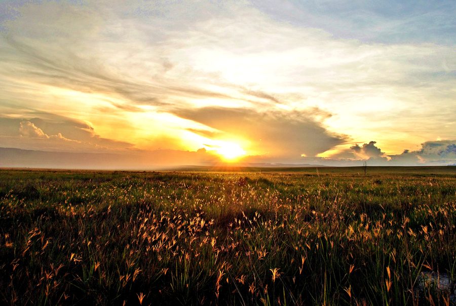 La Gran Sabana in the state of BolÃvar