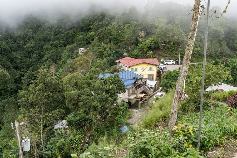 Landscape in the Blue Mountains of Jamaica