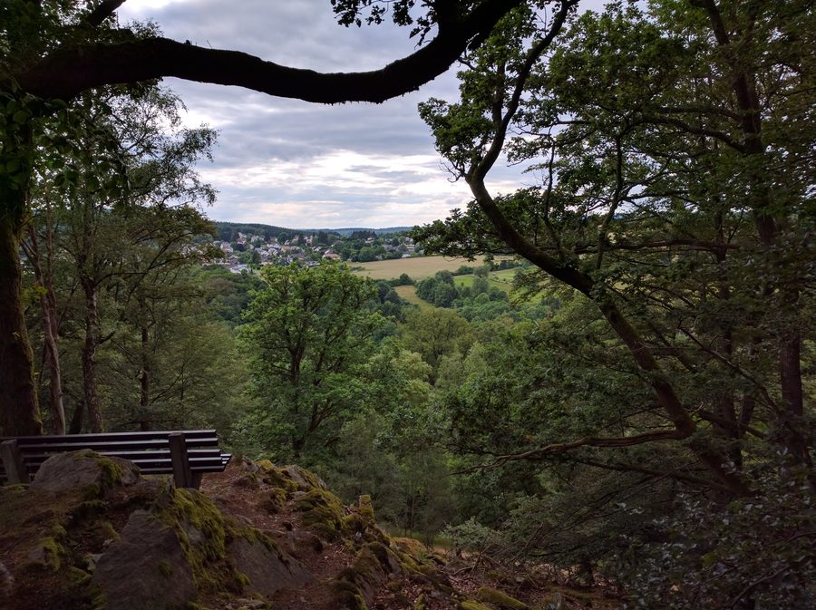 View in the Saarland HunsrĂĽck-Hochwald National Park near Nonnweiler