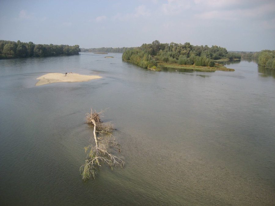 The Drava near Molve in Croatia