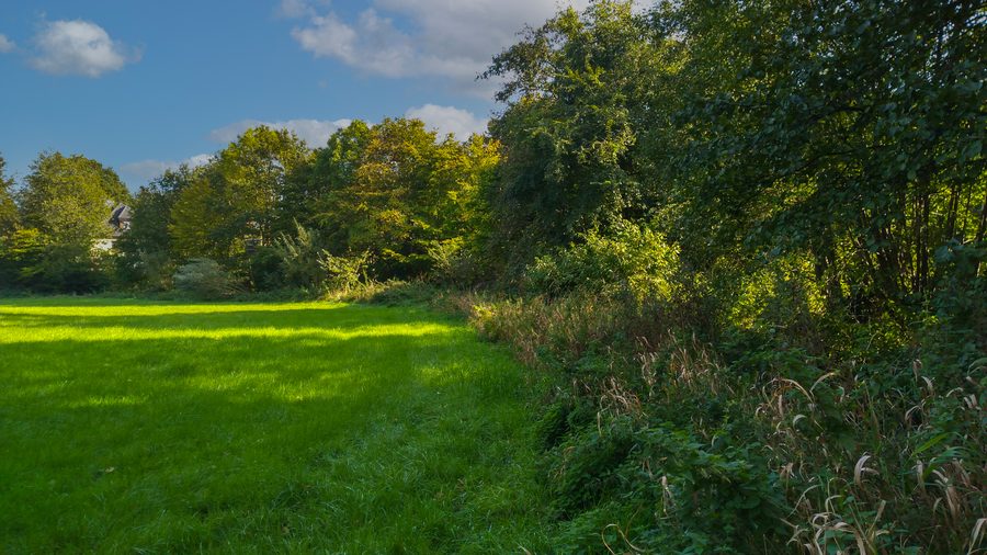 Landscape along the Bollingstedter Au in the Treene Natura 2000 area, Winderatter See to Friedrichstadt