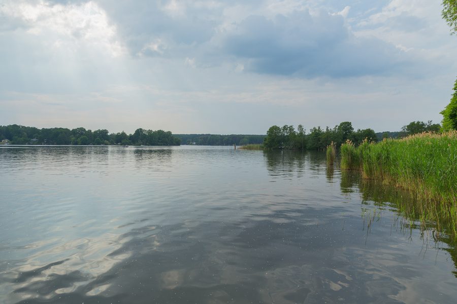 Shoreline landscape of Lake Teupitz in the Dahme-Spreewald district in Brandenburg