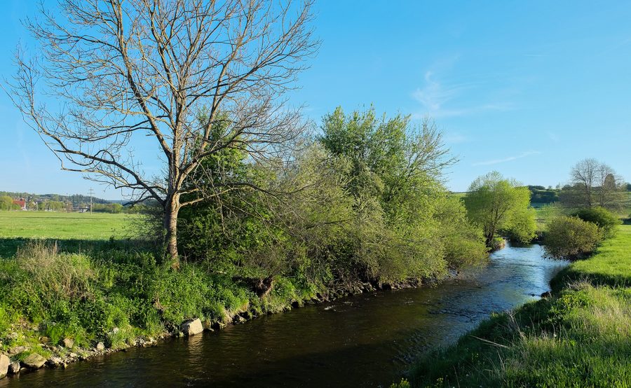 The Brigach near Brigachtal-Kirchdorf in the Schwarzwald-Baar district