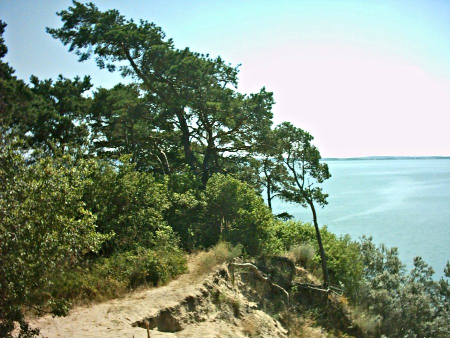 Loddiner Höft on the Achterwasser lagoon in Loddin on Usedom