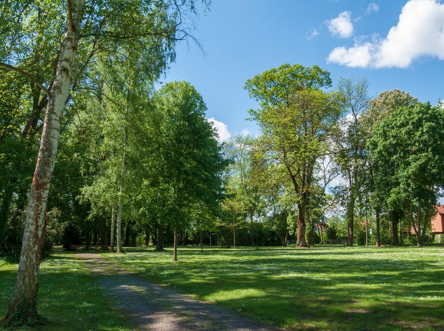 View of the palace park in Bad Rappenau-Bonfeld